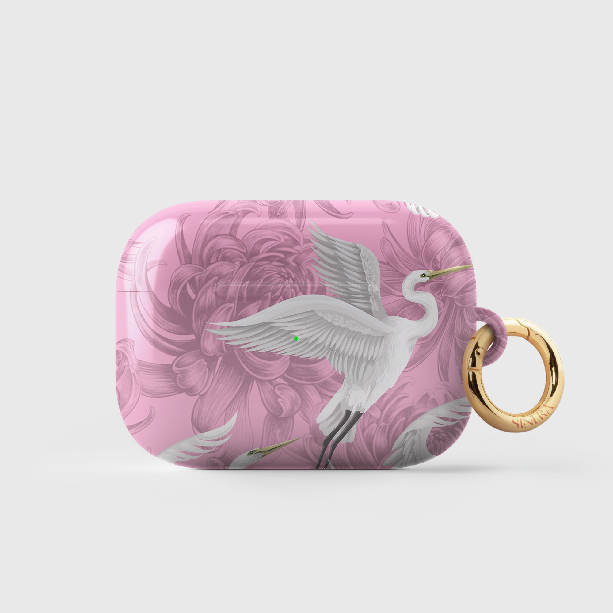 Aurora AirPods Case