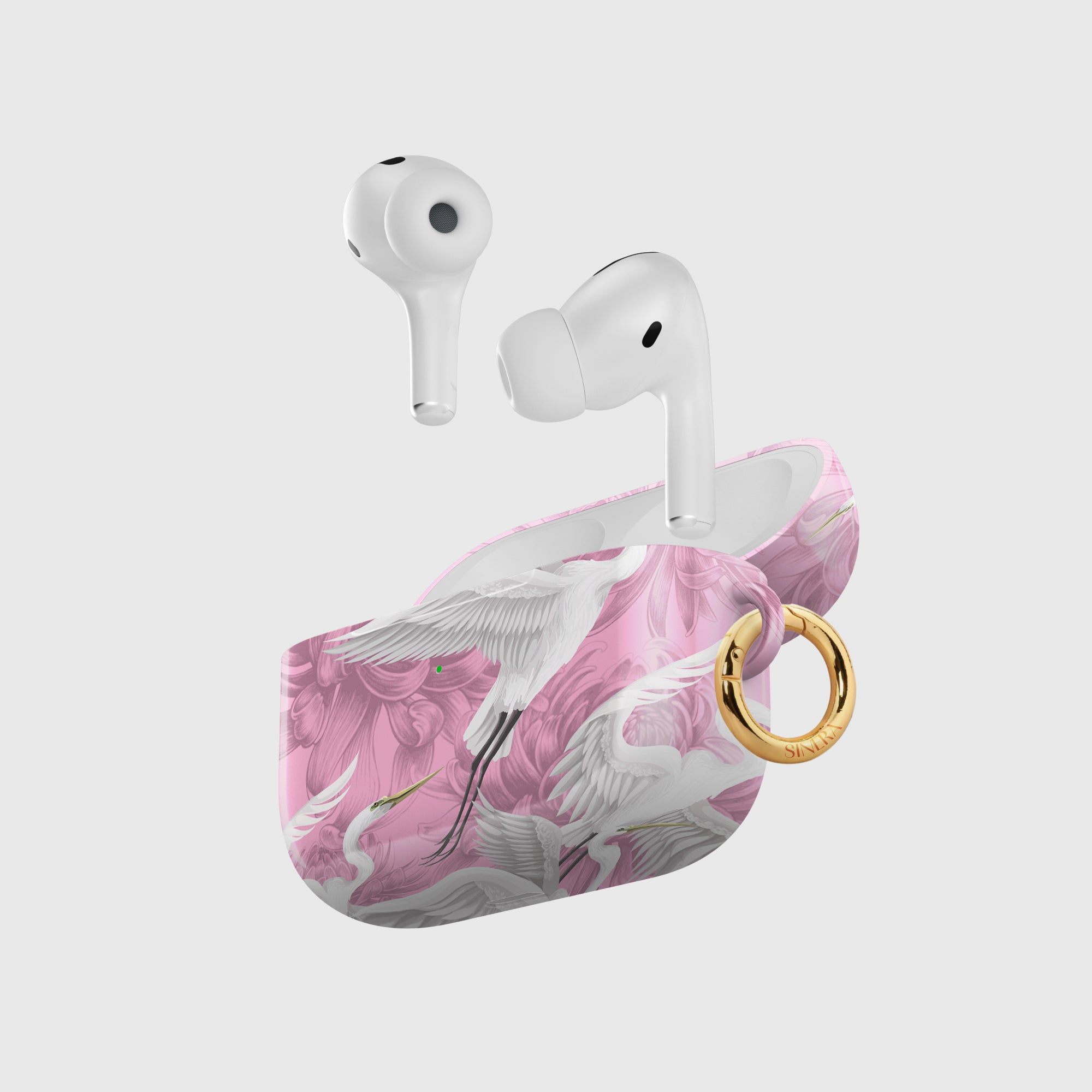 Aurora AirPods Case